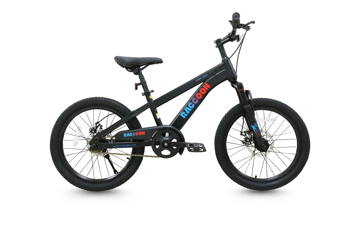 Xe Đạp Địa Hình Trẻ Em Raccoon Dason 22 Inch Màu Đen Xe Đạp Địa Hình Trẻ Em Raccoon Dason 22 Inch Màu Đen