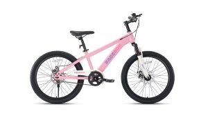 Xe Đạp Địa Hình Trẻ Em Raccoon Dason 22 Inch Màu Hồng