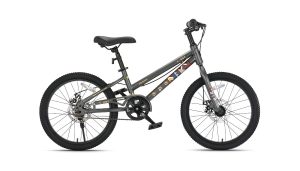 Xe Đạp Trẻ Em Bé Trai Qitong Gason 20 Inch