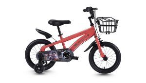 Xe Đạp Trẻ Em Raccoon Jason 12 Inch