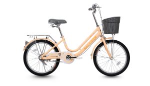 Xe Đạp Trẻ Em Raccoon Lina 20 Inch