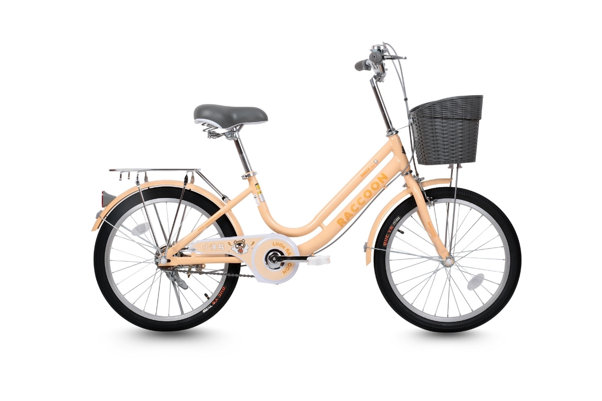 Xe Đạp Trẻ Em Raccoon Lina 20 Inch Xe Đạp Trẻ Em Raccoon Lina 20 Inch