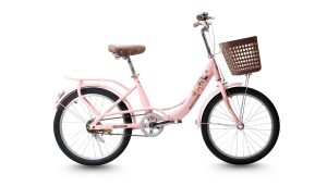 Xe Đạp Trẻ Em Raccoon Rina 20 Inch