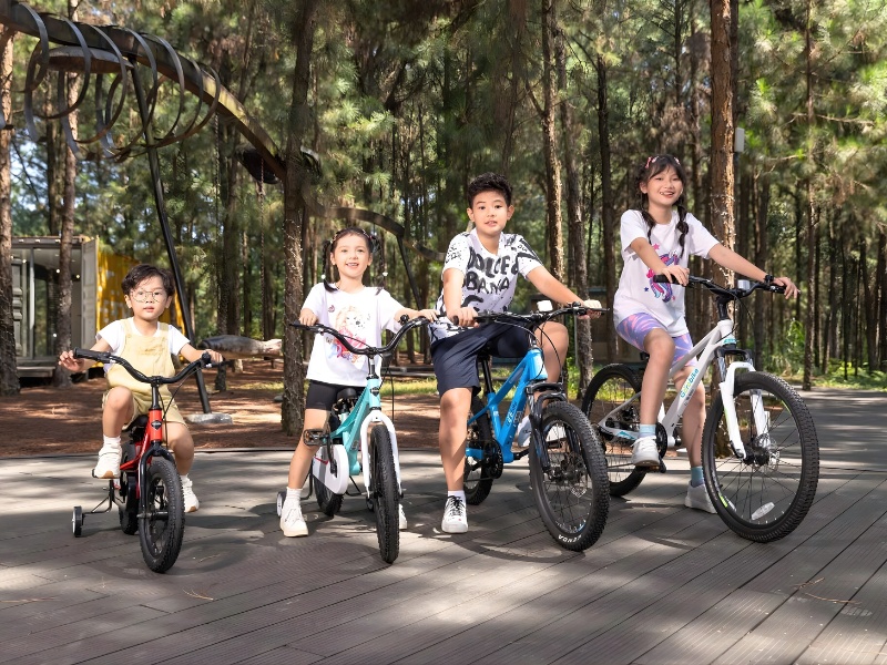 Mức giá xe đạp trẻ em thay đổi bởi nhiều yếu tố tác động