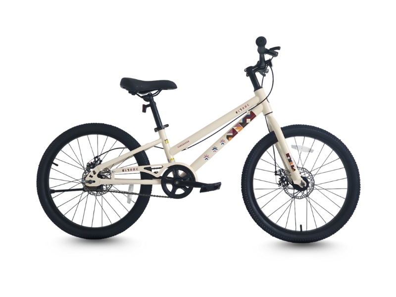 Xe đạp bé trai Qitong Gason 20 inch kiểu dáng thể thao cá tính